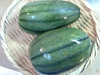 f0083726_1118538.jpg