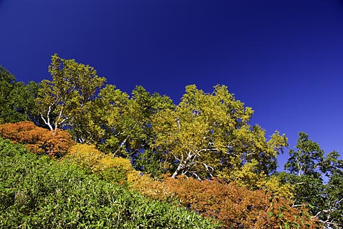 e0025030_14311912.jpg