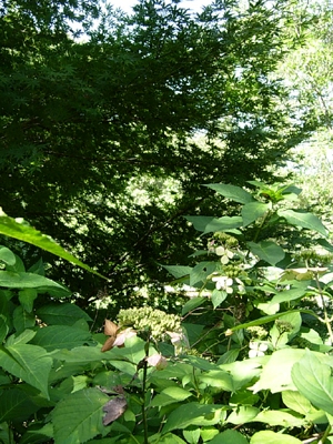 f0078132_1273742.jpg