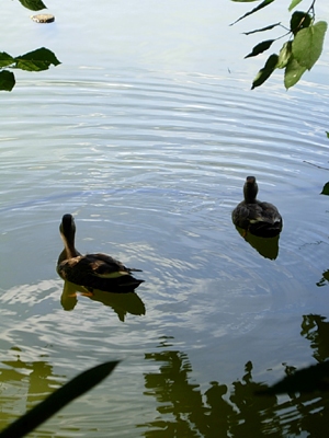f0078132_1285244.jpg