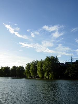f0078132_1335144.jpg