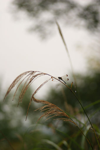 d0069235_2242383.jpg