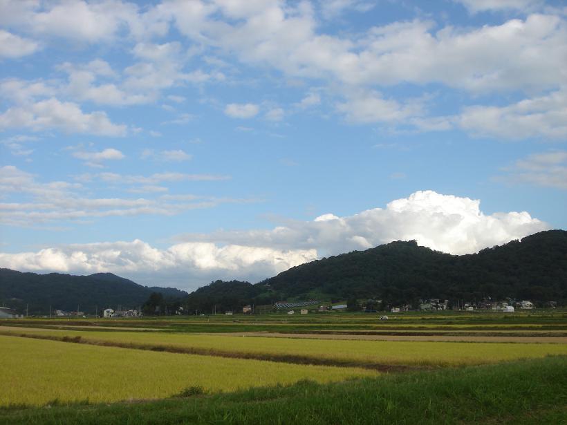 f0131535_22591774.jpg