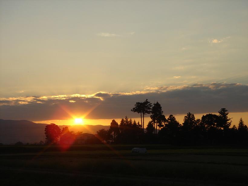 f0131535_2305726.jpg