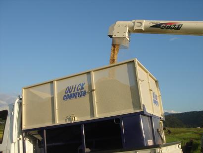 f0131535_23443.jpg