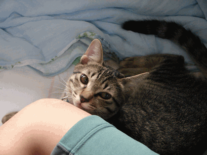 c0136736_18492912.gif