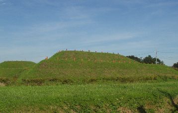 d0093936_1734362.jpg