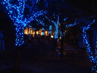 c0077338_2335596.jpg