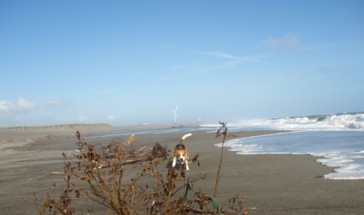 c0119142_0243634.jpg