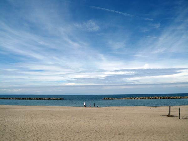 c0131544_116718.jpg