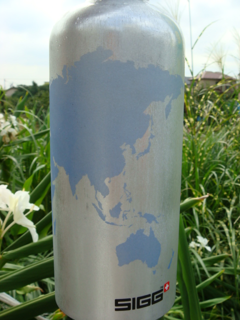 d0009945_115528100.jpg
