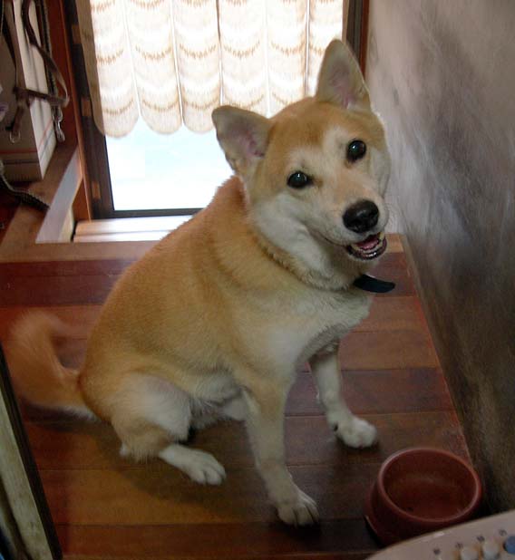 e0077145_081354.jpg