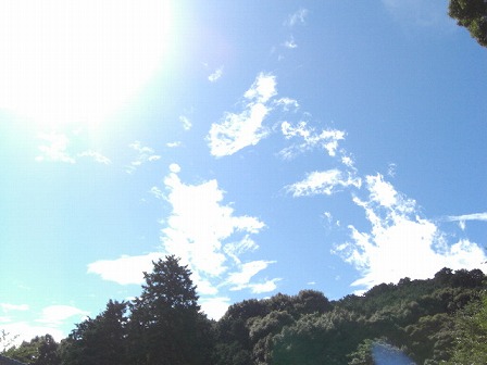 f0009451_8534437.jpg