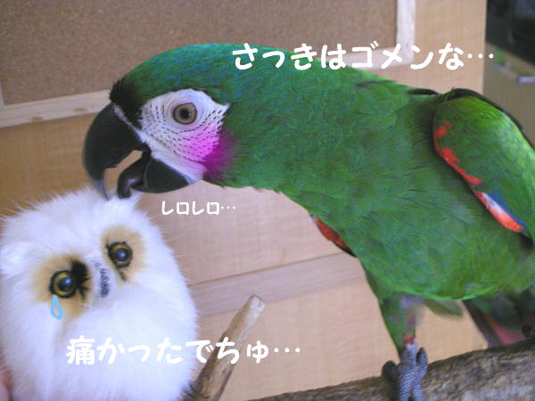 f0132055_1115277.jpg