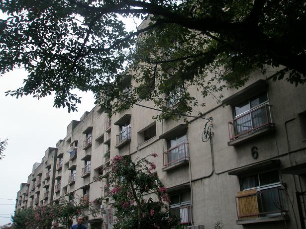 d0008157_22585225.jpg