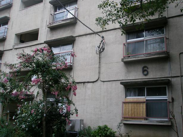 d0008157_2259592.jpg