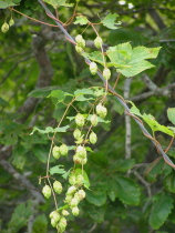 b0086858_14311772.jpg