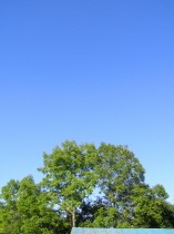 b0086858_1435323.jpg