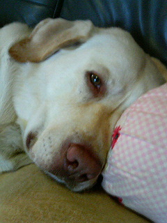 f0057565_10541773.jpg