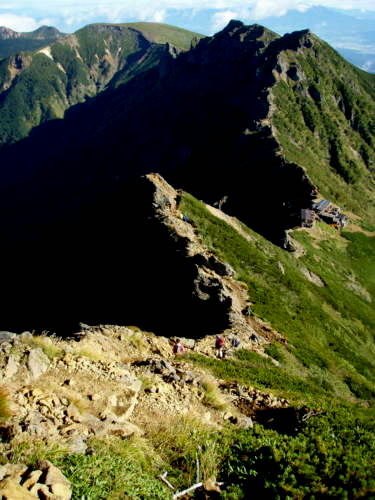 b0050067_00167.jpg