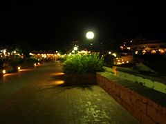 c0102268_0285461.jpg