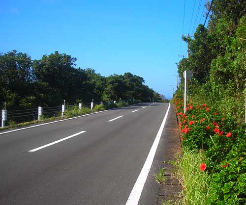e0097770_23195887.jpg