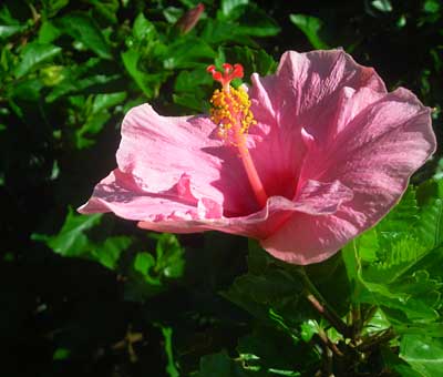 e0097770_23213889.jpg