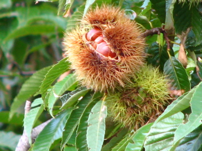 d0050472_17214289.jpg