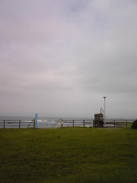 e0123576_1065745.jpg
