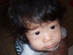 c0105177_15485547.jpg
