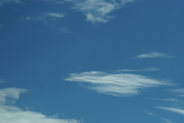 d0079278_19311737.jpg