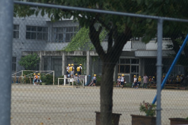d0079278_19521459.jpg