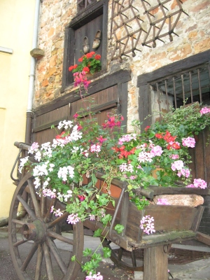 e0012482_13141147.jpg