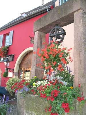 e0012482_1320789.jpg