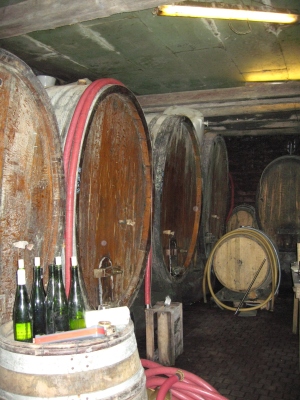e0012482_1323749.jpg
