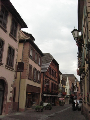 e0012482_1333571.jpg