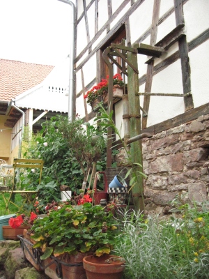 e0012482_13351495.jpg
