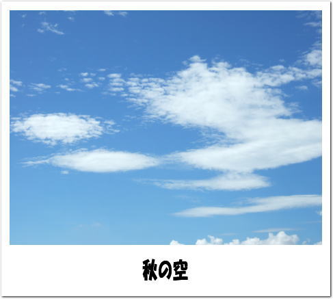 f0004182_15143223.jpg