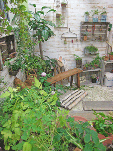 a0062983_1335921.gif
