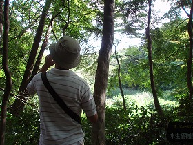 c0105785_10375556.jpg