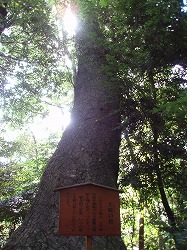 c0105785_9592540.jpg
