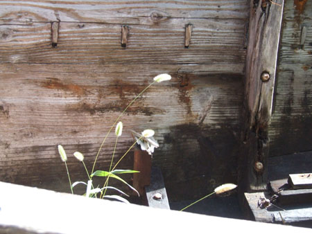 e0028387_2258288.jpg