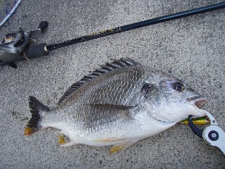 e0052088_1351828.jpg
