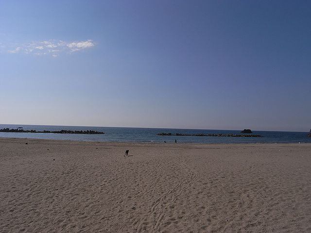 a0093592_0231738.jpg