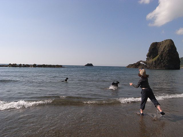 a0093592_0415826.jpg