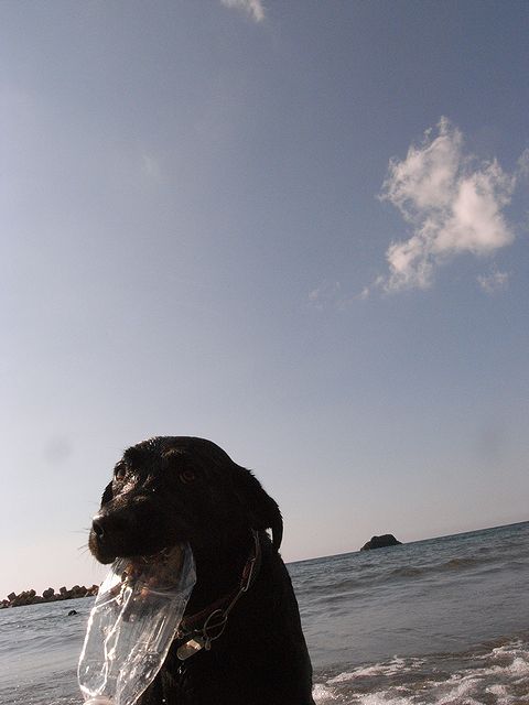 a0093592_0425799.jpg