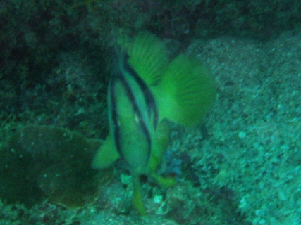 e0023100_1537514.jpg