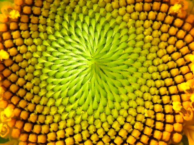 f0083400_13362121.jpg
