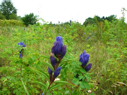 f0020302_22303359.jpg