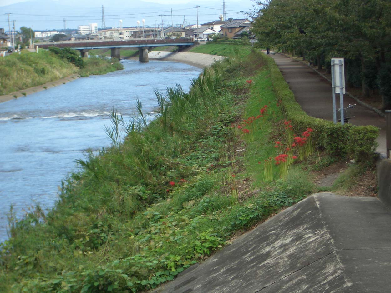 f0141310_2317219.jpg